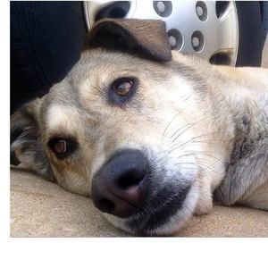 Meet your Posher, Marcine